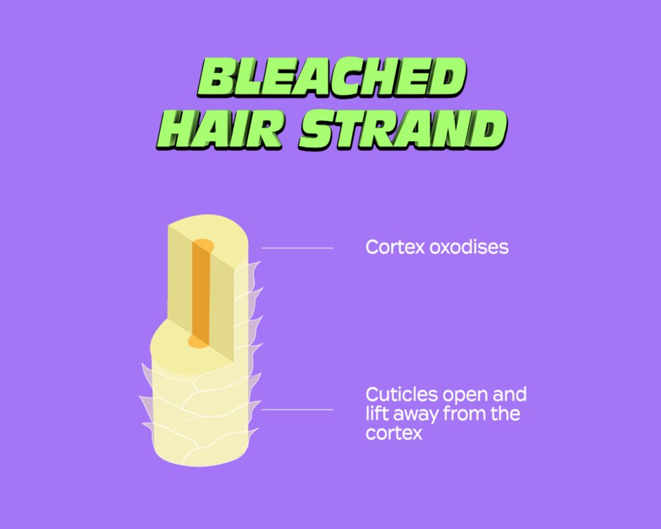 Bleach London | Bleach London